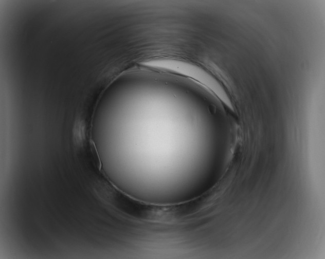 X0000088040117200705251310