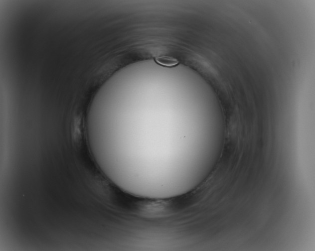 X0000088040122200705251309