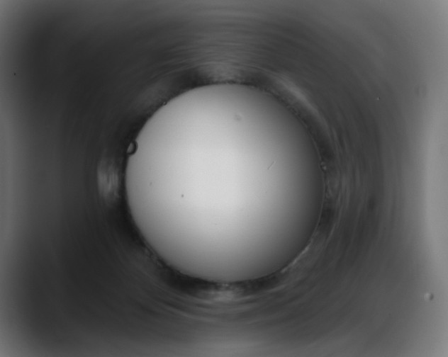 X0000088040124200705251309