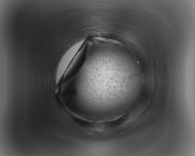 X0000088040127200705251309