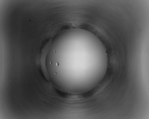 X0000088040129200705251309