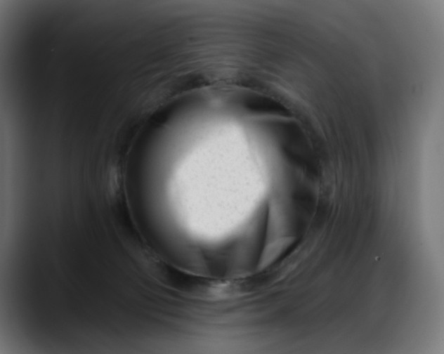 X0000088040130200705251309