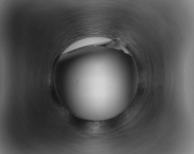 X0000088040131200705251309