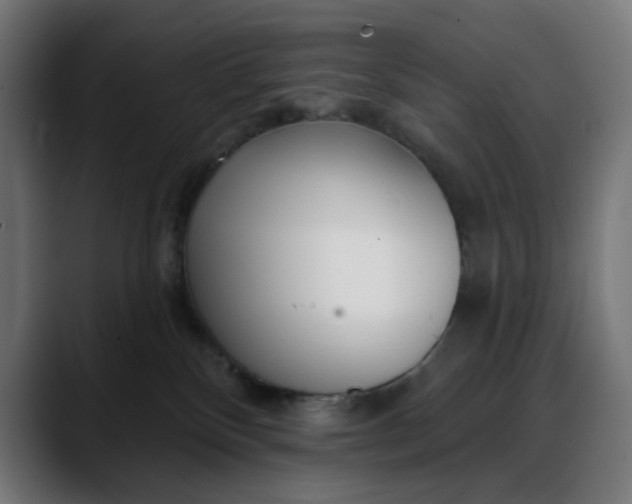 X0000088040136200705251309