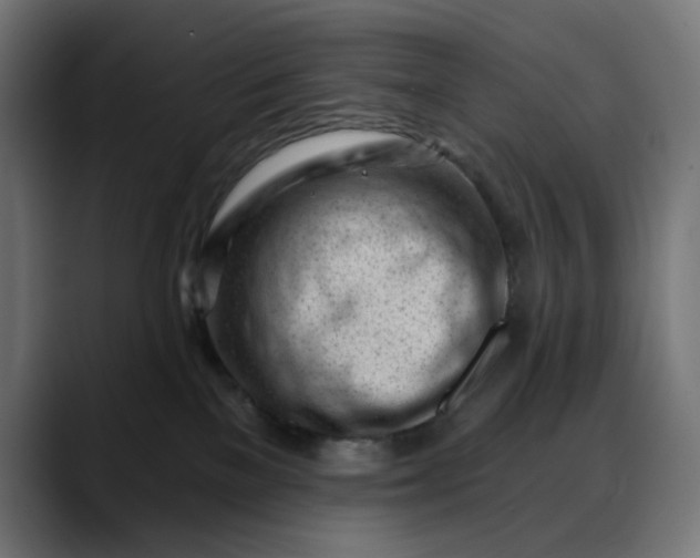 X0000088040137200705251309