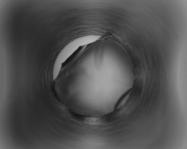 X0000088040139200705251309