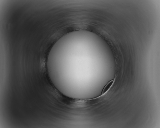 X0000088040144200705251309