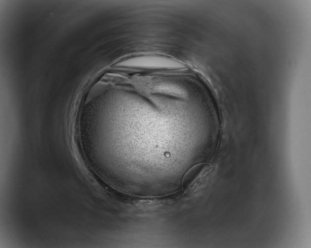 X0000088040145200705251308