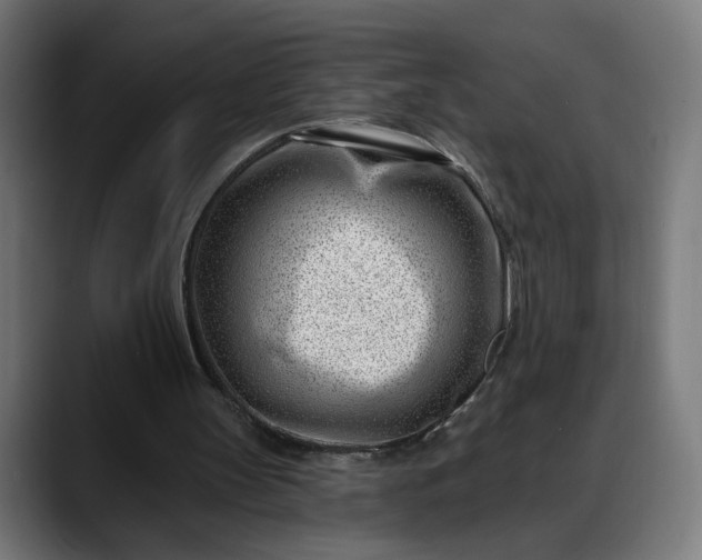 X0000088040147200705251308