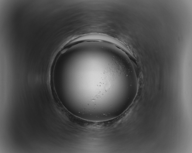 X0000088040148200705251308