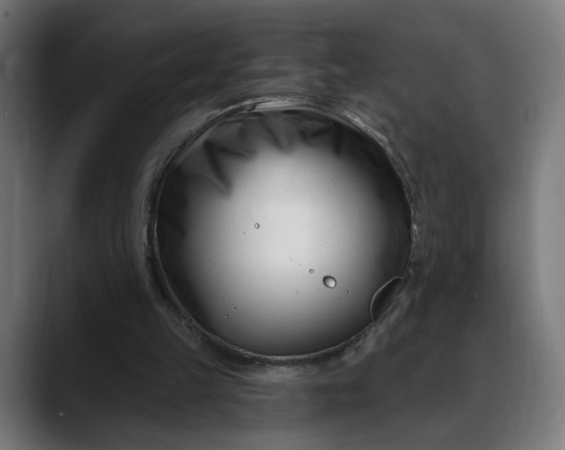 X0000088040149200705251309