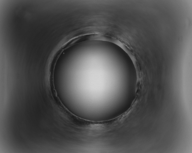 X0000088040150200705251309