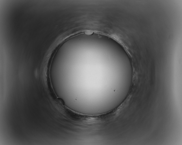 X0000088040151200705251309