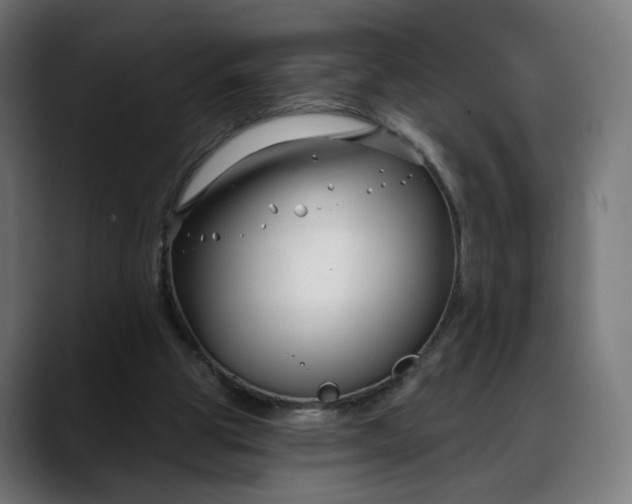 X0000088040153200705251309