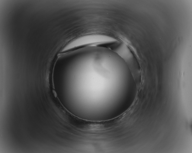 X0000088040154200705251309