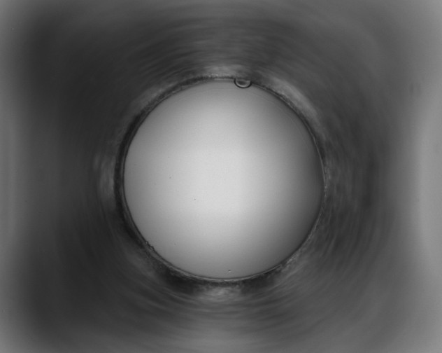 X0000088040155200705251309