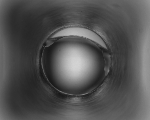 X0000088040156200705251309