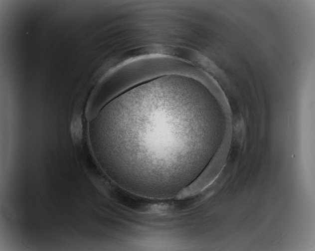 X0000088040158200705251309