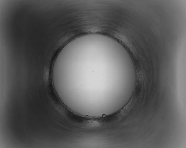 X0000088040159200705251309