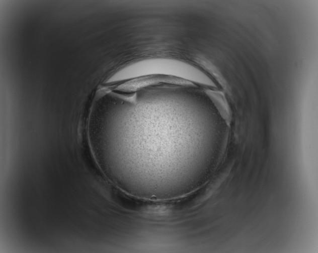 X0000088040161200705251309