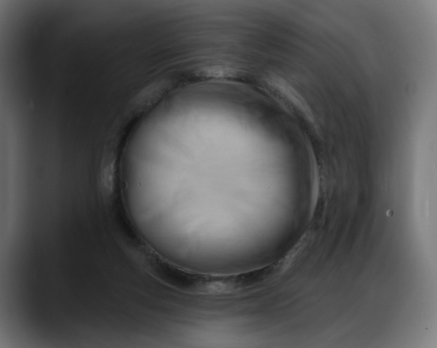 X0000088040163200705251309