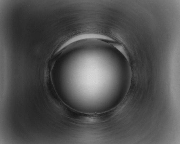 X0000088040164200705251309