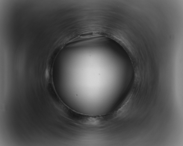 X0000088040166200705251309