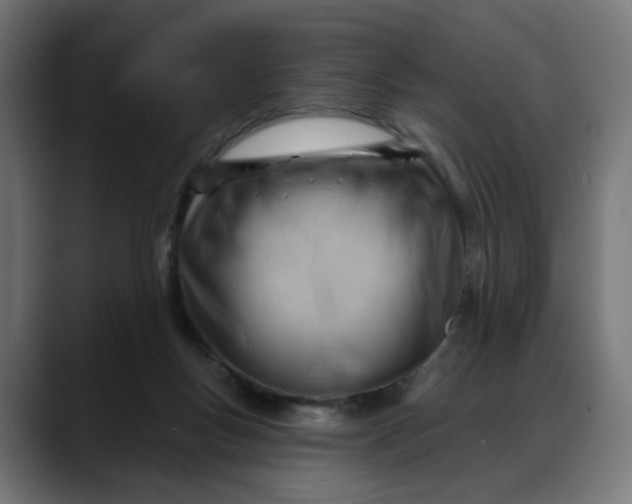 X0000088040167200705251309