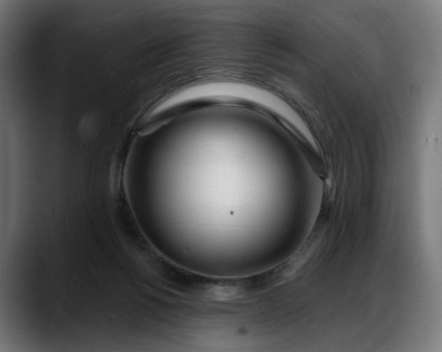 X0000088040168200705251309