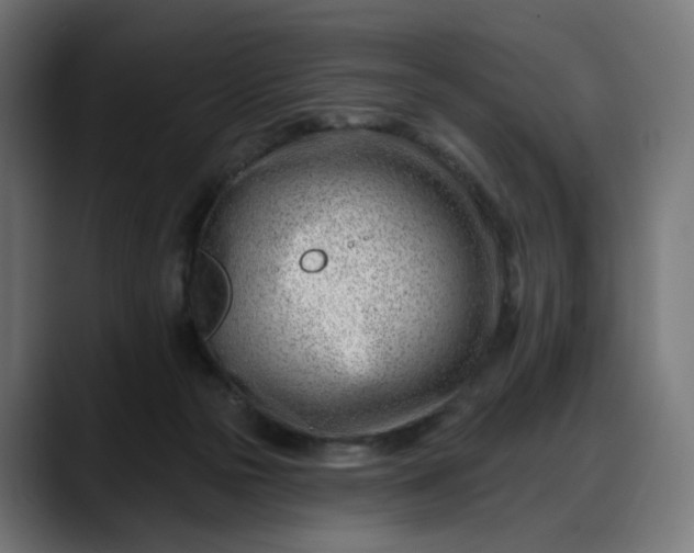 X0000088040169200705251309