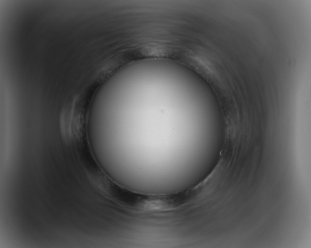 X0000088040171200705251309