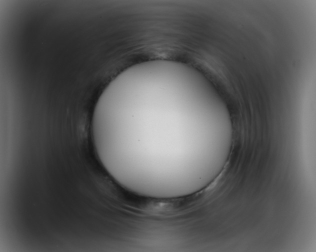 X0000088040174200705251309