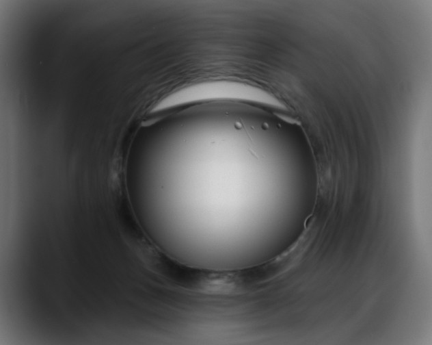 X0000088040175200705251309