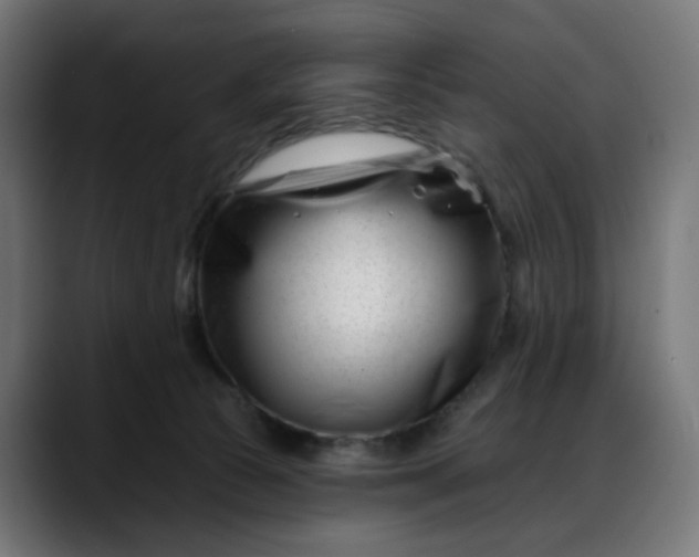 X0000088040177200705251309