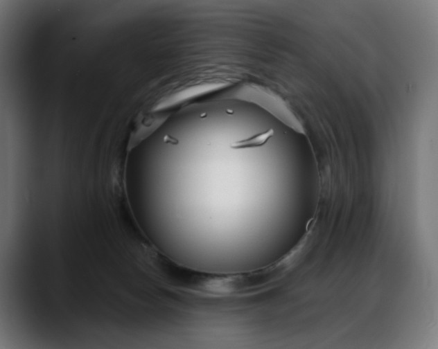 X0000088040178200705251309