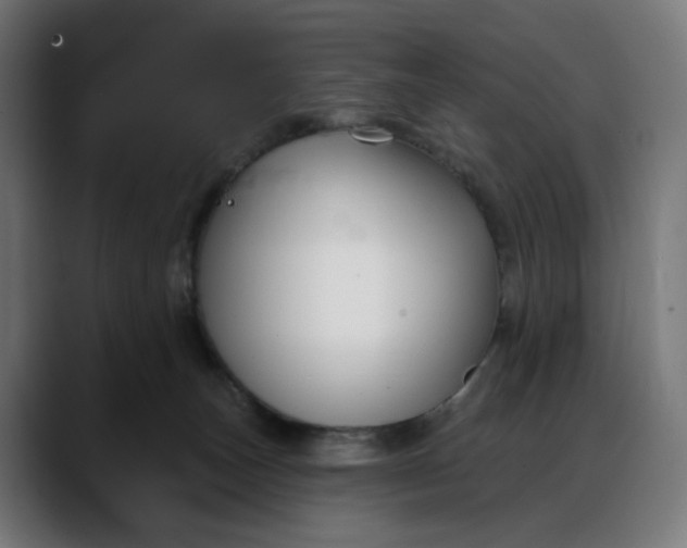 X0000088040179200705251309