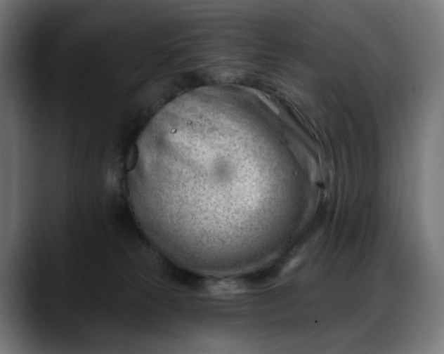 X0000088040181200705251309