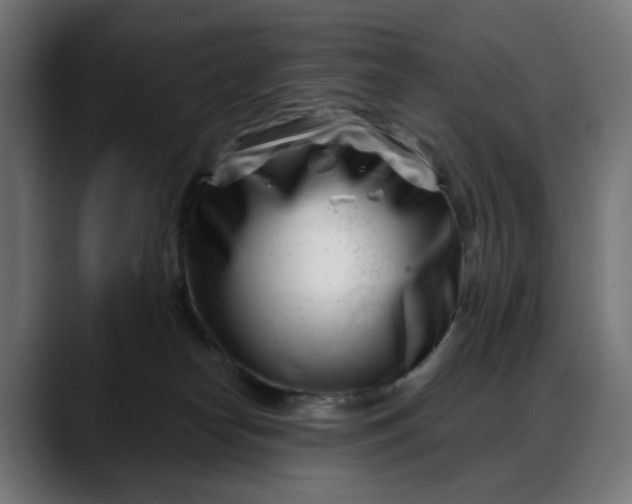 X0000088040182200705251309