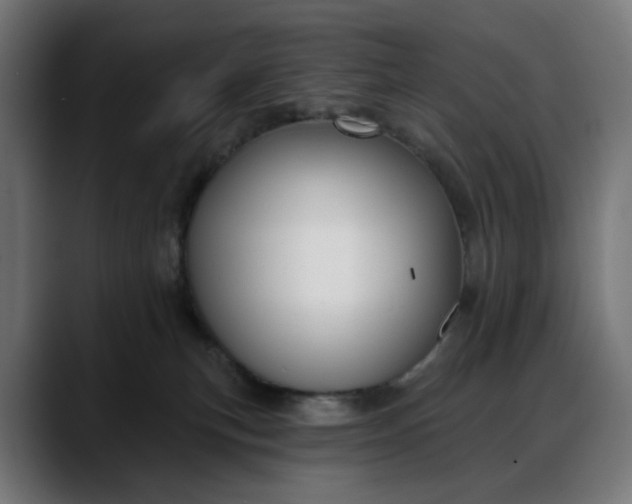 X0000088040183200705251309