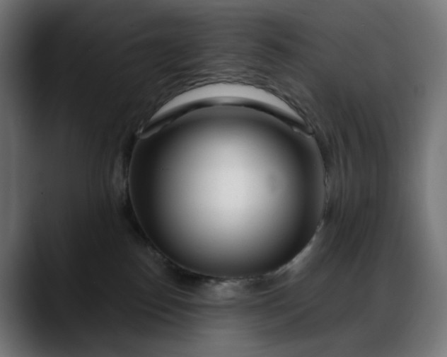 X0000088040186200705251309