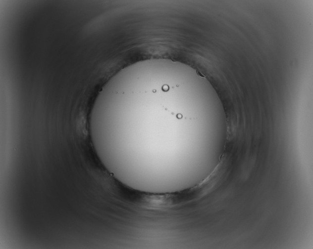 X0000088040187200705251309