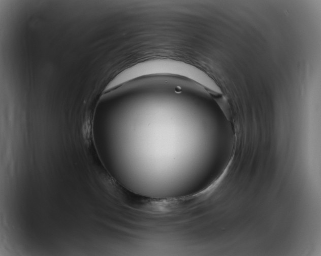 X0000088040190200705251309