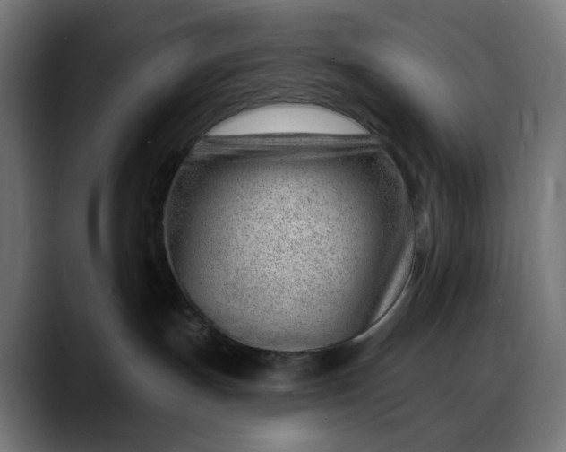 X0000088040191200705251309