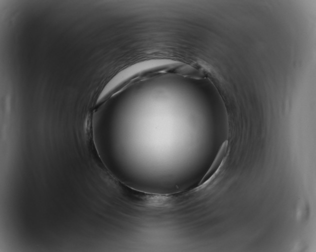 X0000088040192200705251309