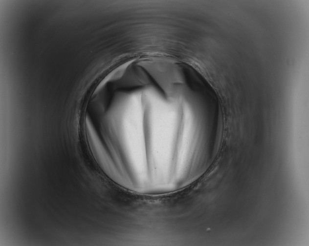 X0000088040194200705251308