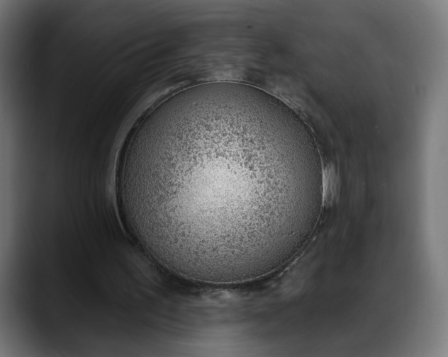 X0000088040195200705251308