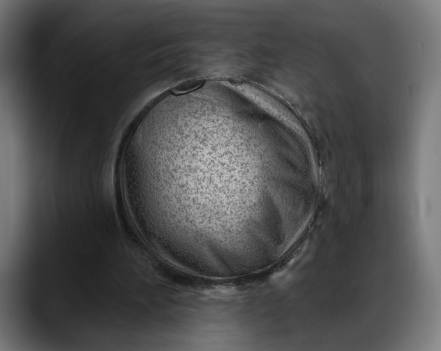 X0000088040196200705251308