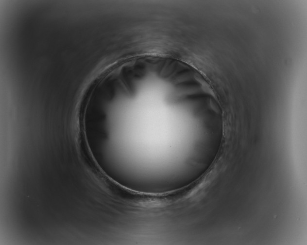 X0000088040198200705251308