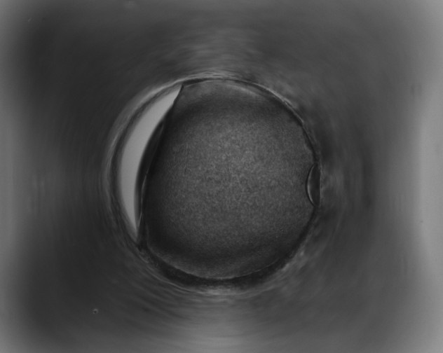 X0000088040200200705251308