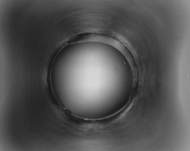 X0000088040201200705251308